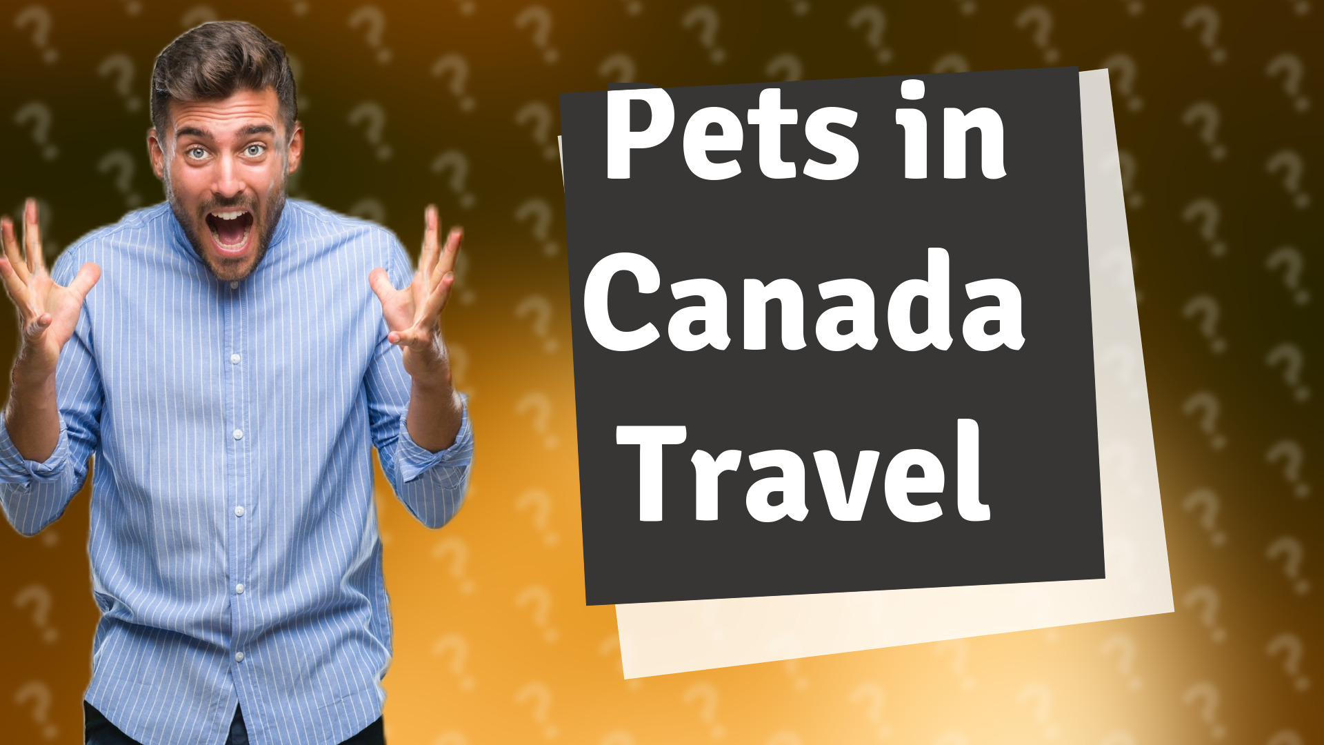 Pets in Canada Travel