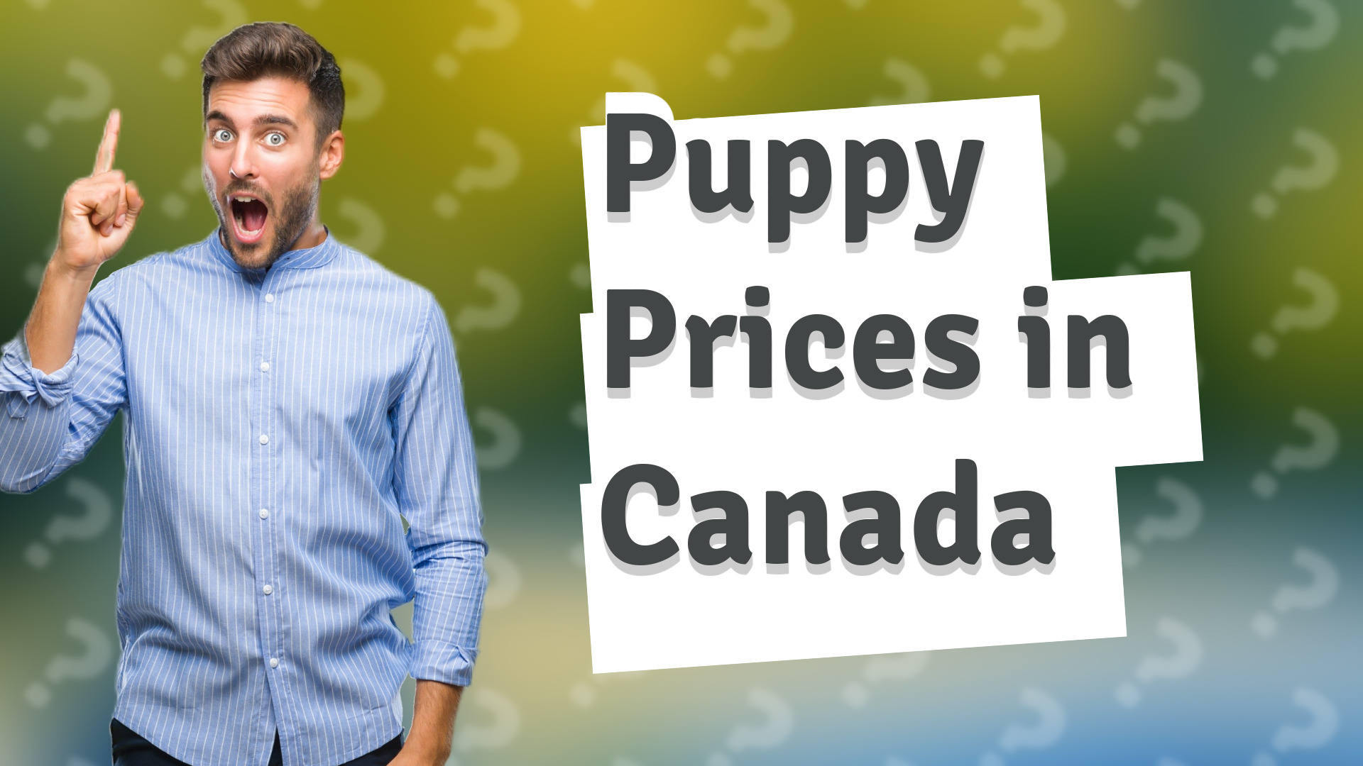 Puppy Prices in Canada