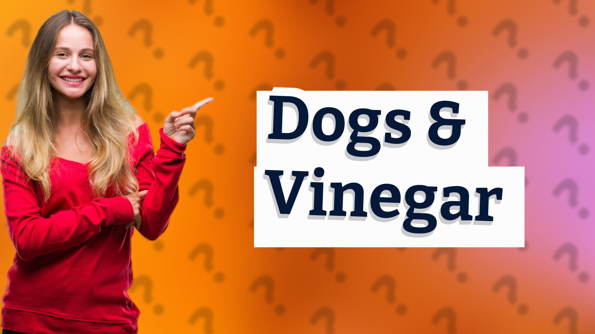 Dogs & Vinegar