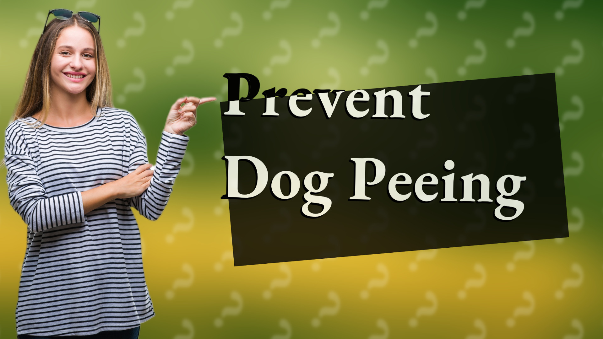 Prevent Dog Peeing