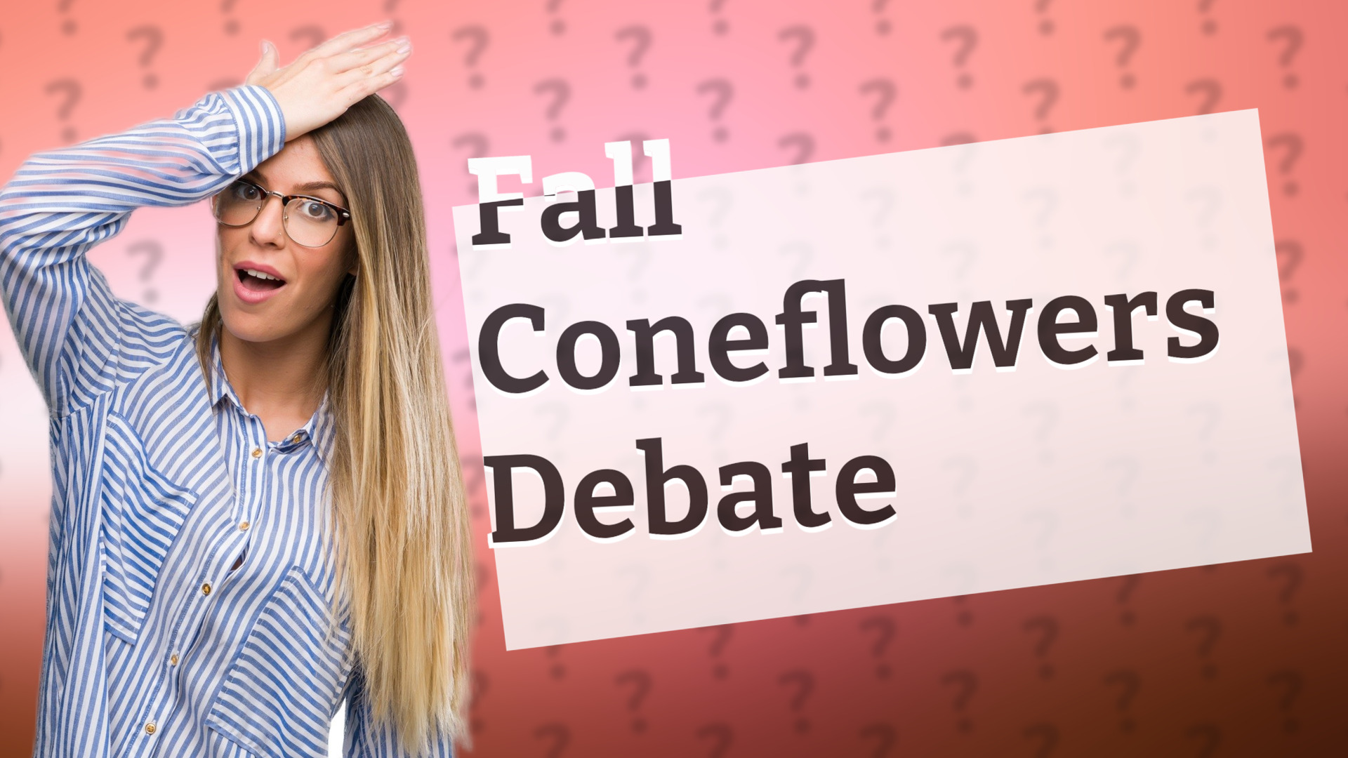 Fall Coneflowers Debate