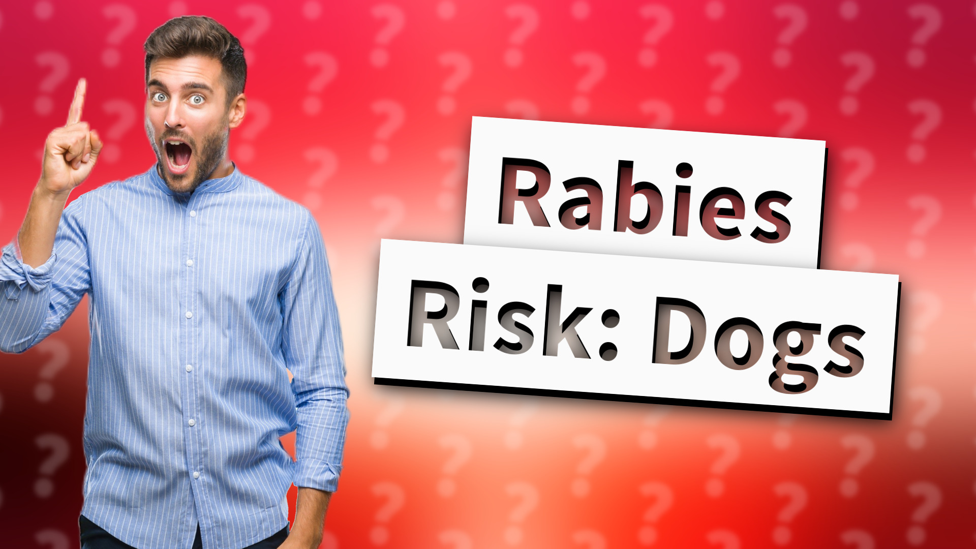Rabies Risk: Dogs