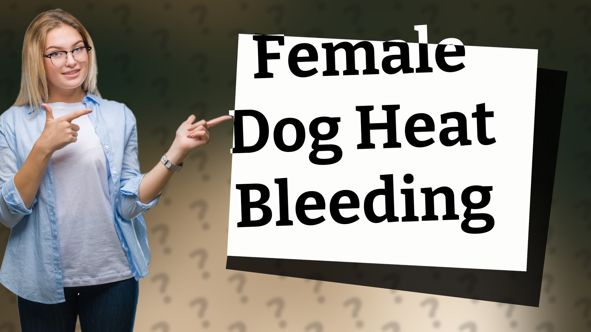 Female Dog Heat Bleeding