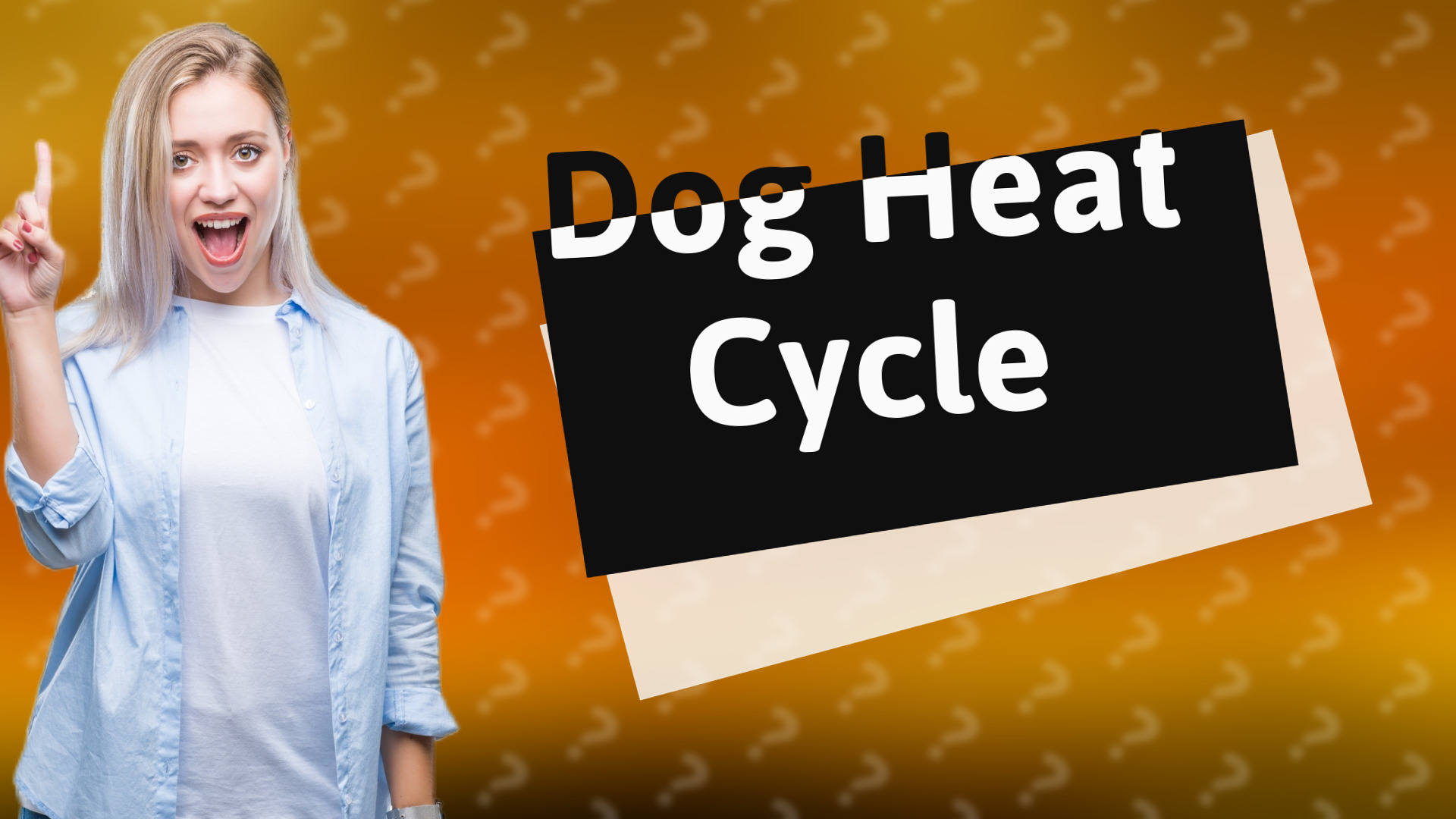 Dog Heat Cycle