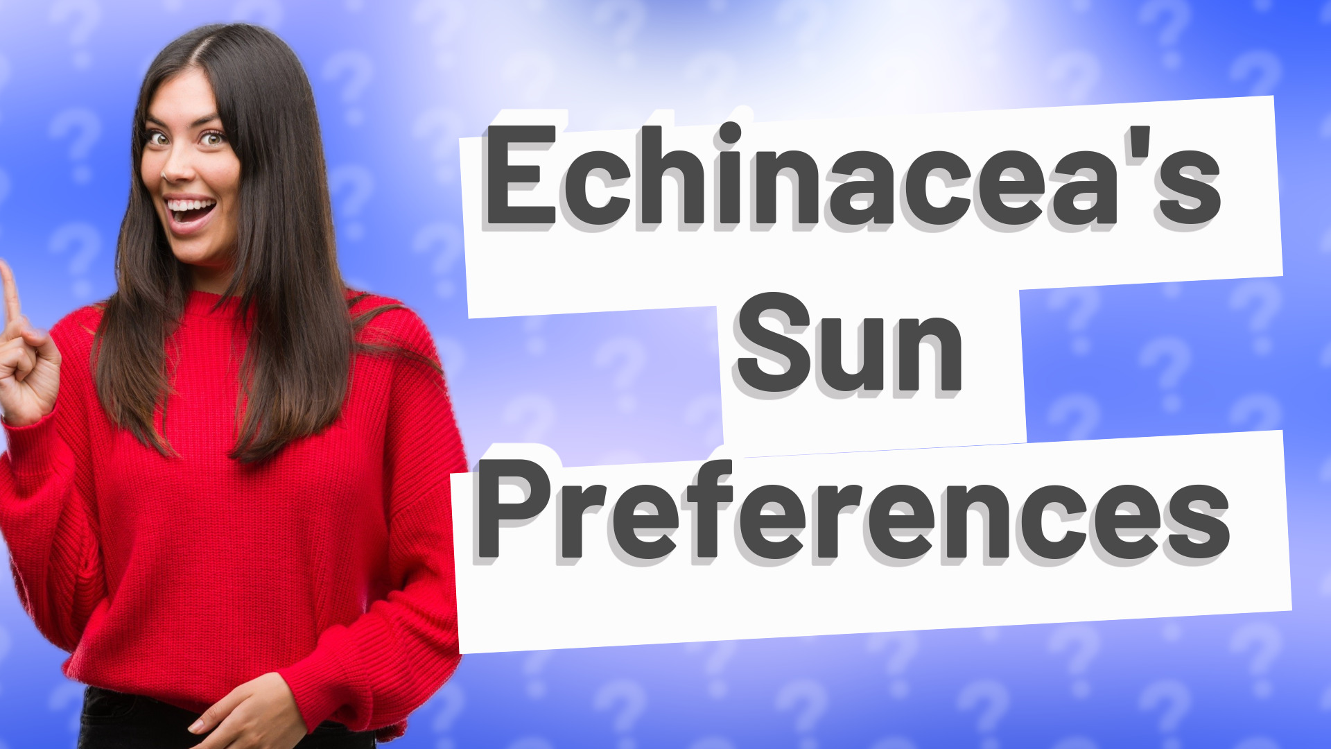 Echinacea's Sun Preferences
