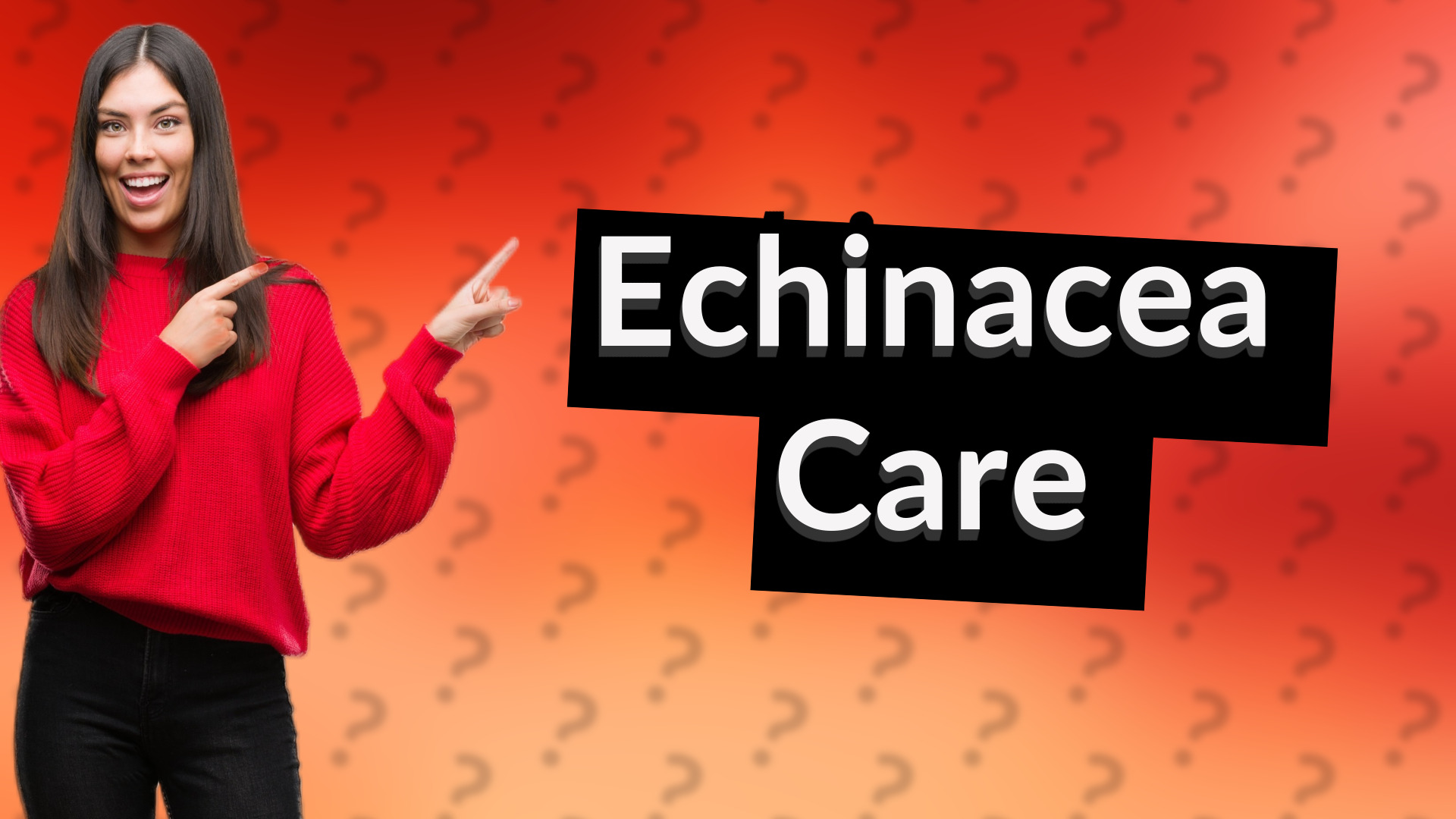 Echinacea Care