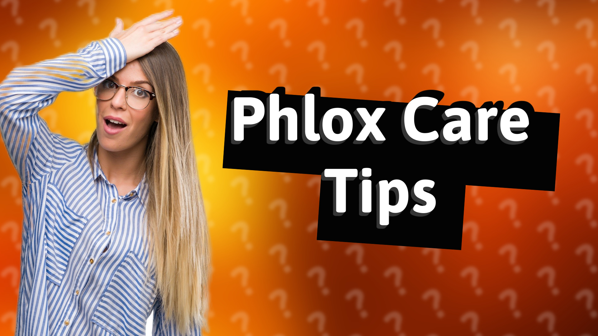 Phlox Care Tips