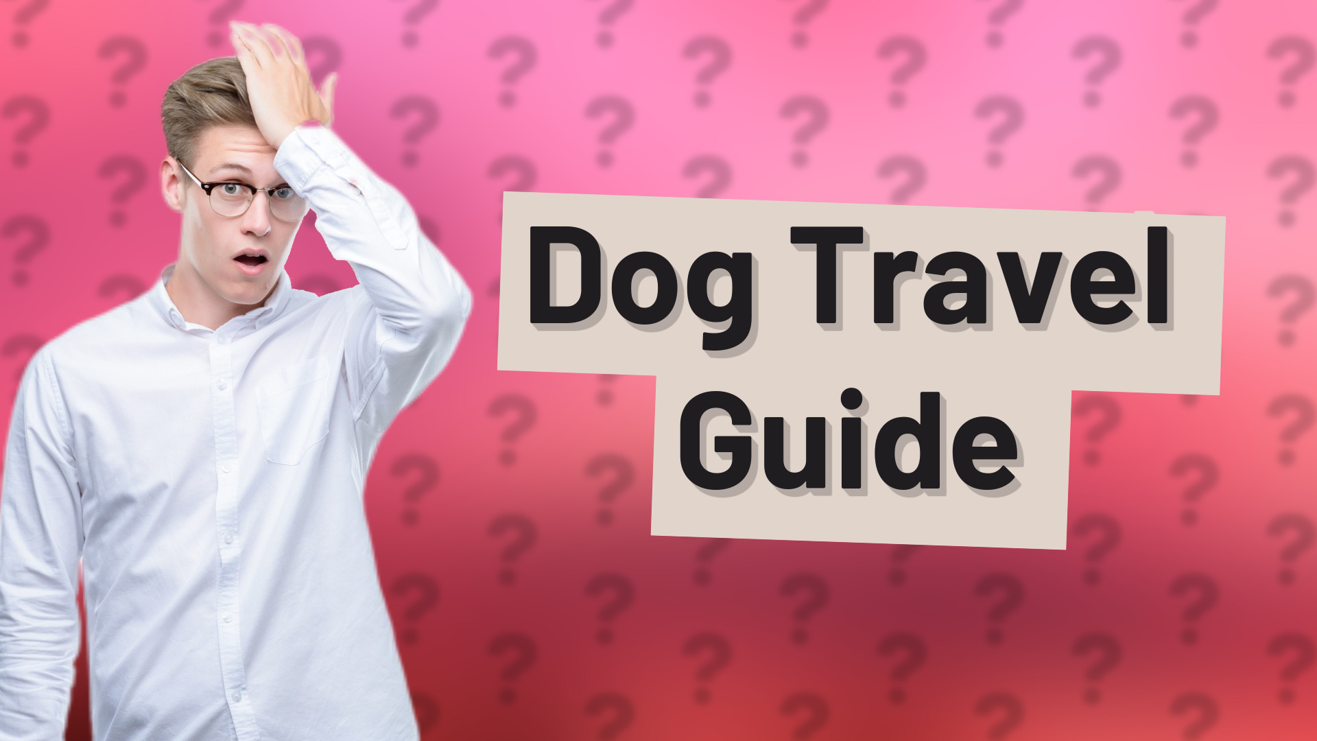 Dog Travel Guide