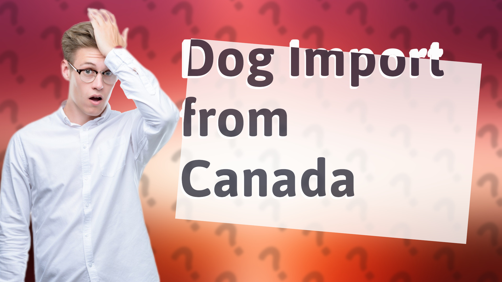 Dog Import from Canada