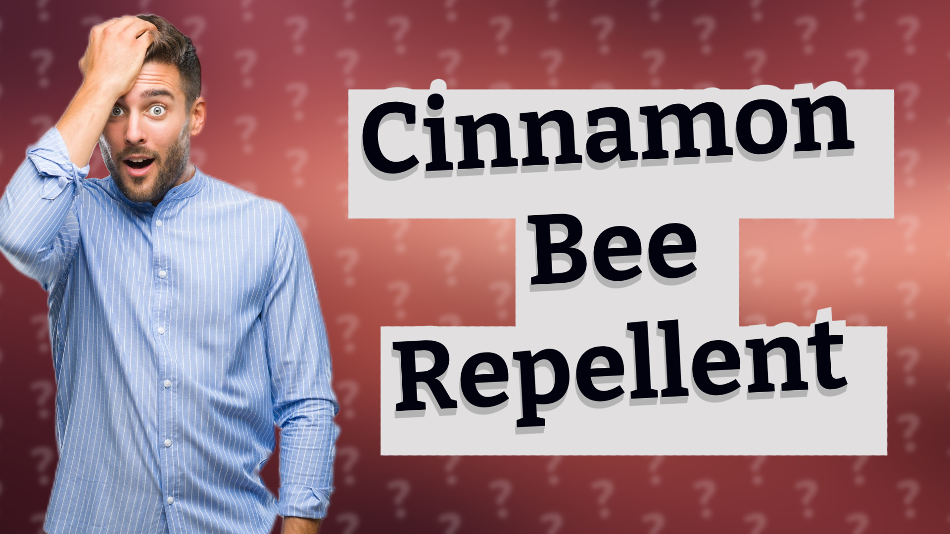Cinnamon Bee Repellent