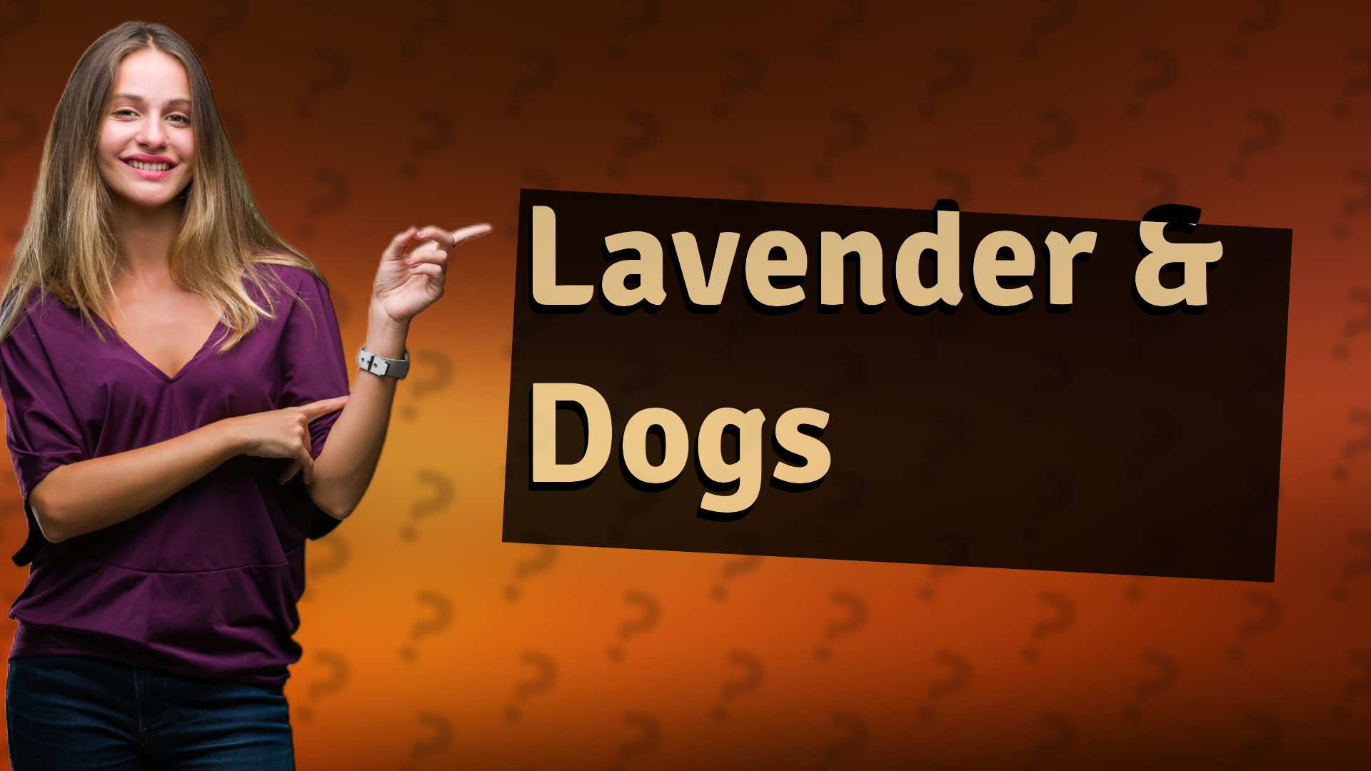 Lavender & Dogs