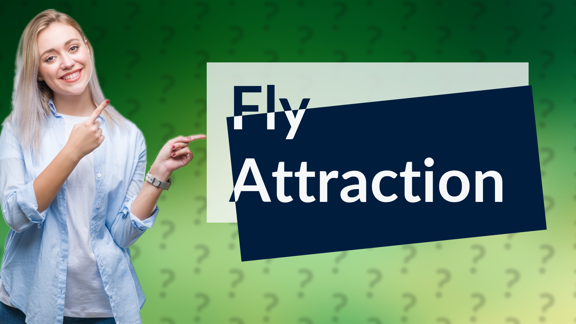 Fly Attraction
