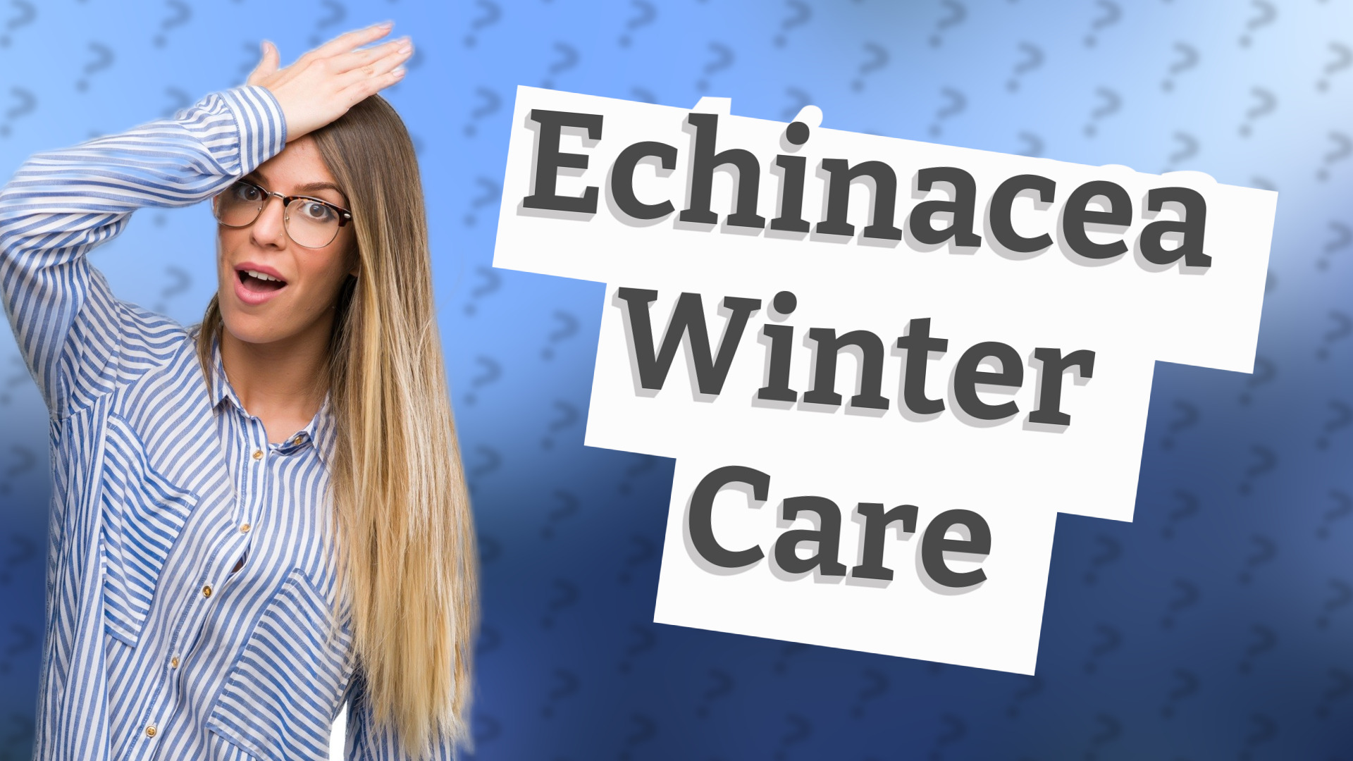 Echinacea Winter Care