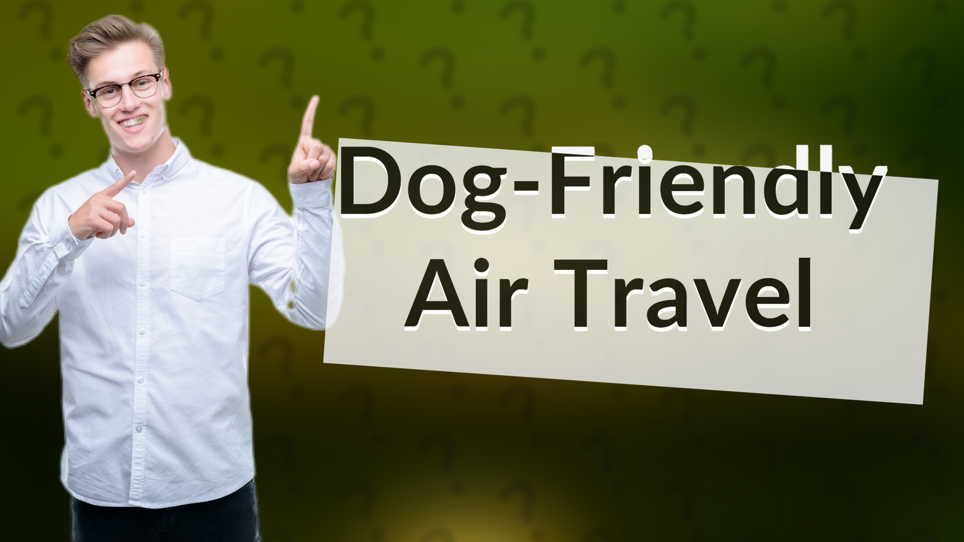 Dog-Friendly Air Travel