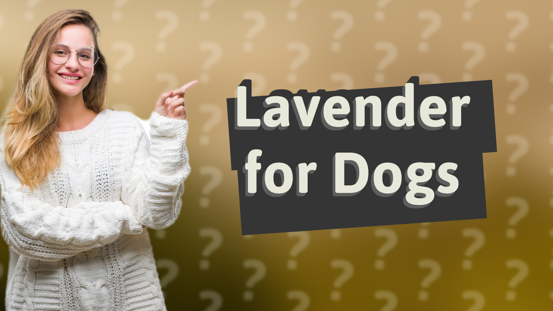 Lavender for Dogs