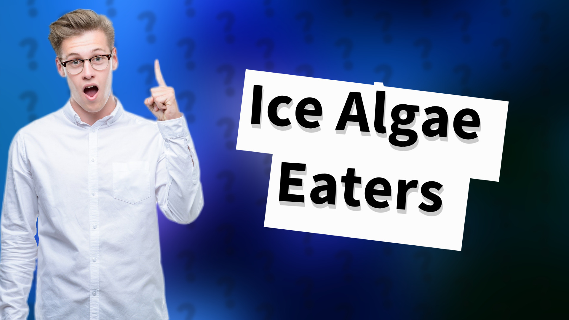Ice Algae Eaters