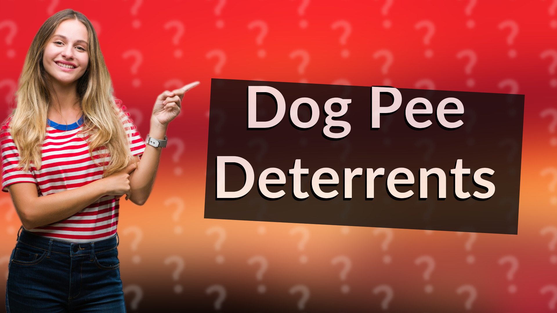 Dog Pee Deterrents