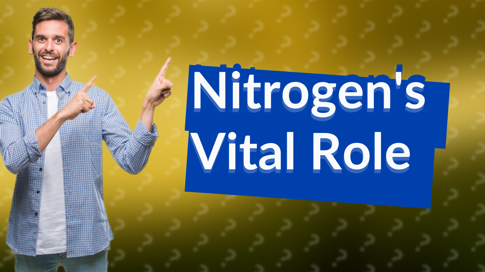 Nitrogen's Vital Role