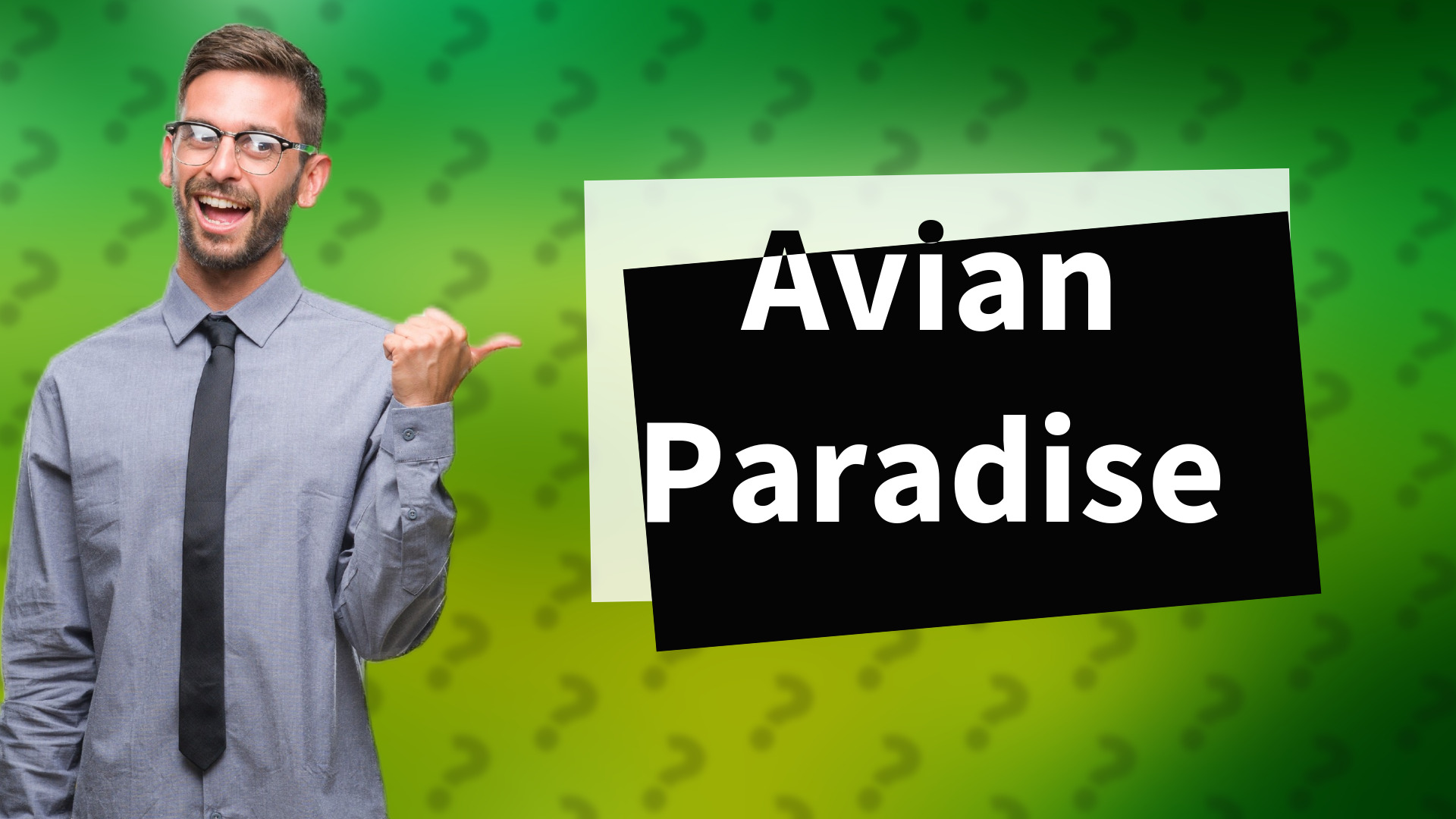 Avian Paradise