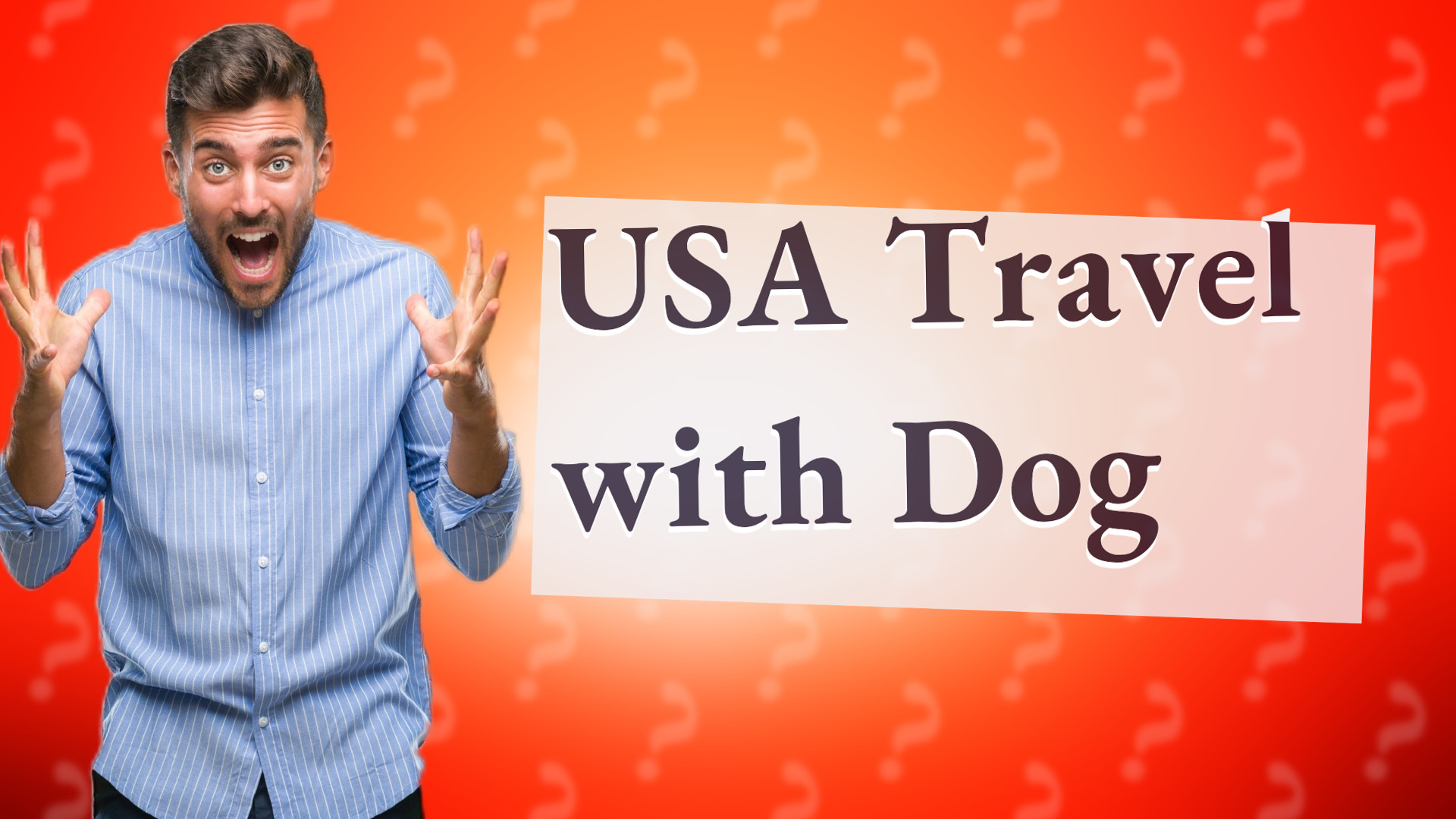 USA Travel with Dog