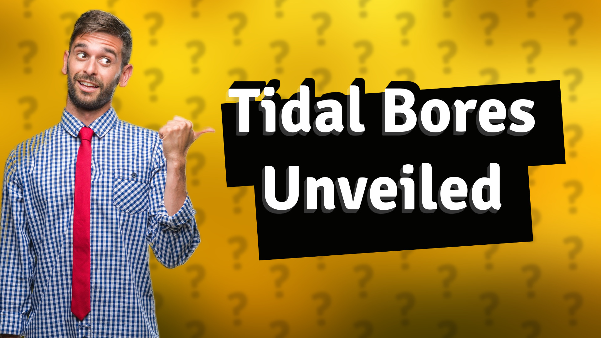 Tidal Bores Unveiled