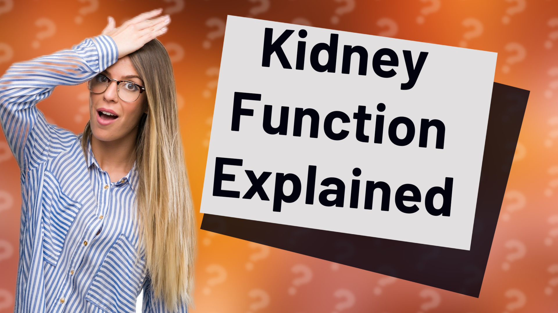 Kidney Function Explained