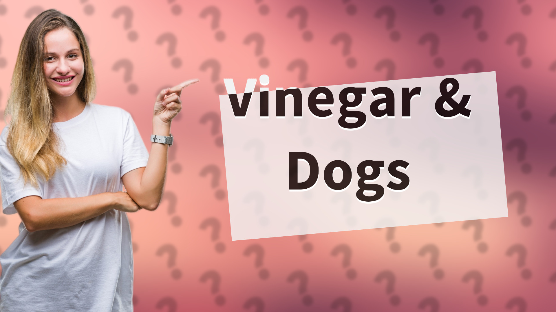 Vinegar & Dogs