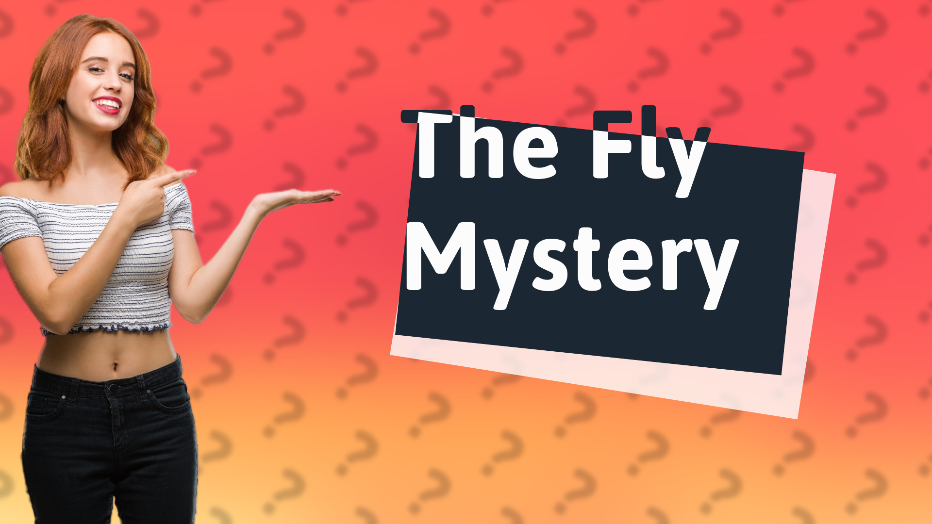 The Fly Mystery