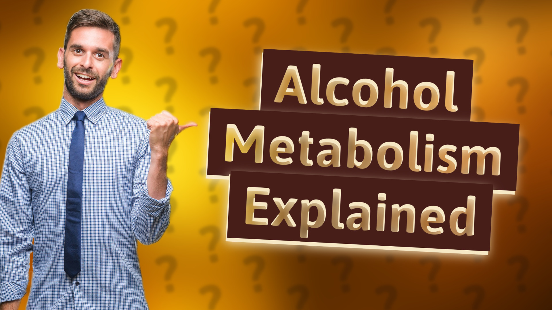 Alcohol Metabolism Explained