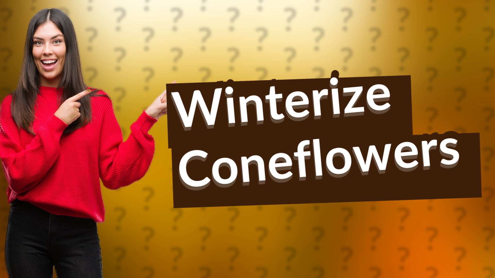 Winterize Coneflowers
