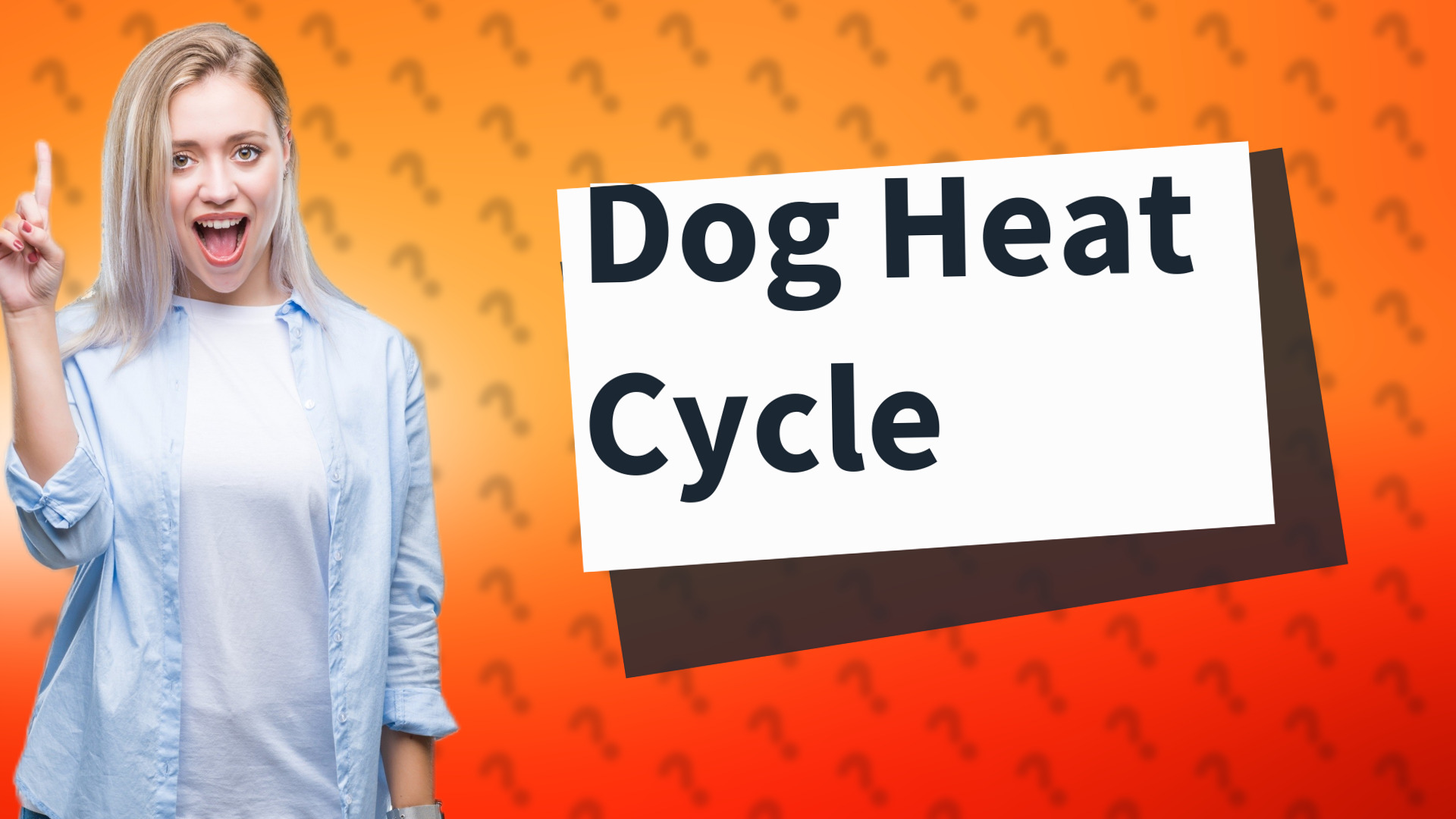 Dog Heat Cycle