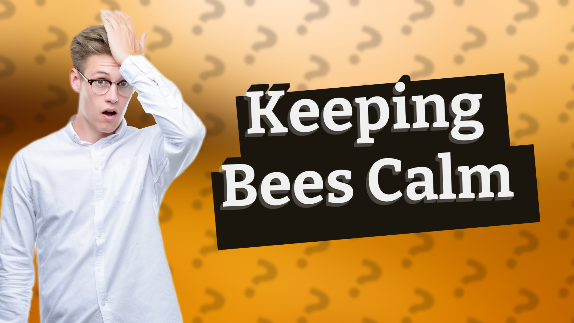 Keeping Bees Calm
