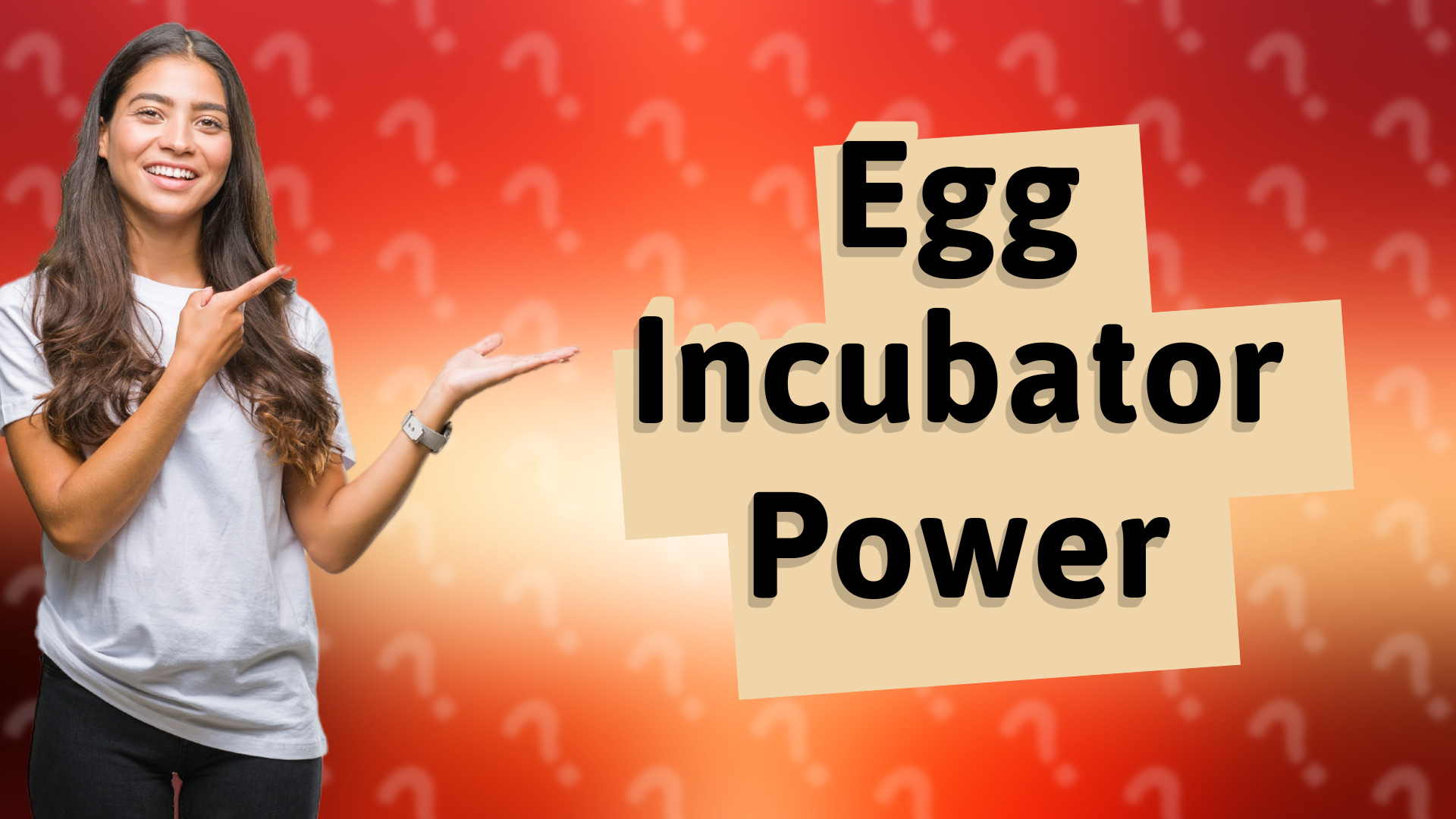 Egg Incubator Power