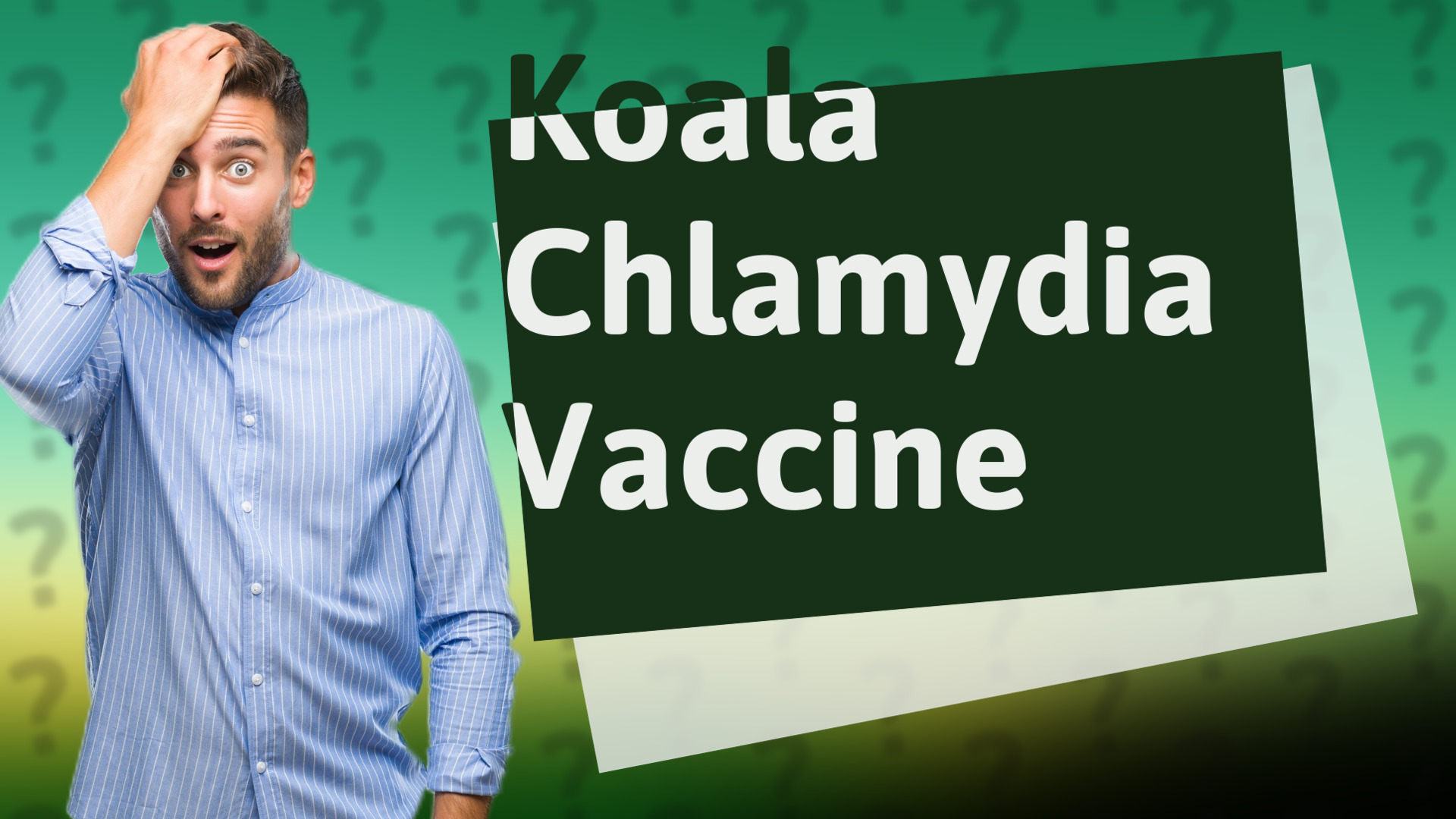 Koala Chlamydia Vaccine