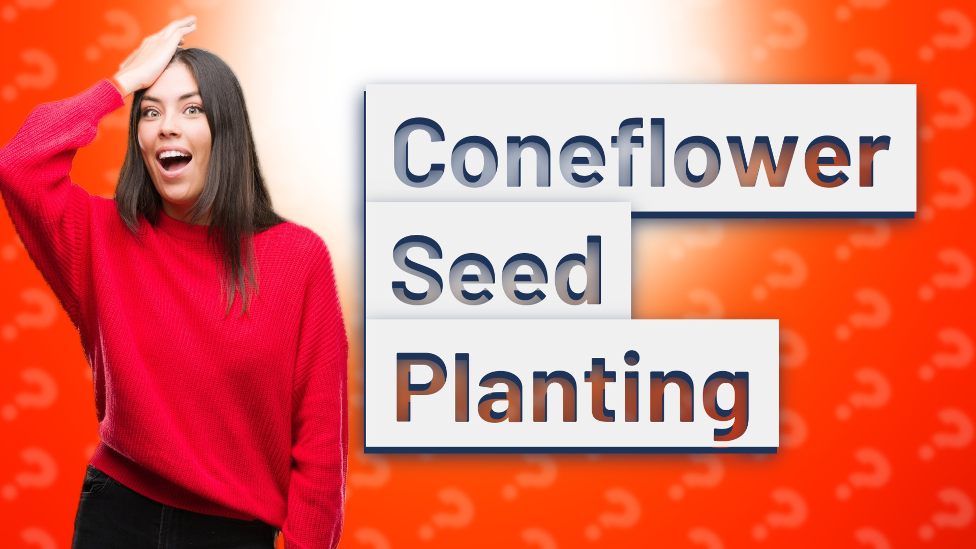 Coneflower Seed Planting