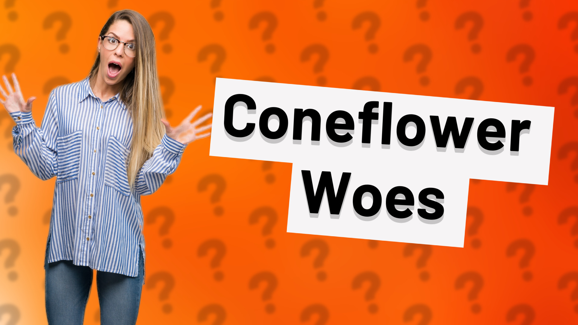Coneflower Woes