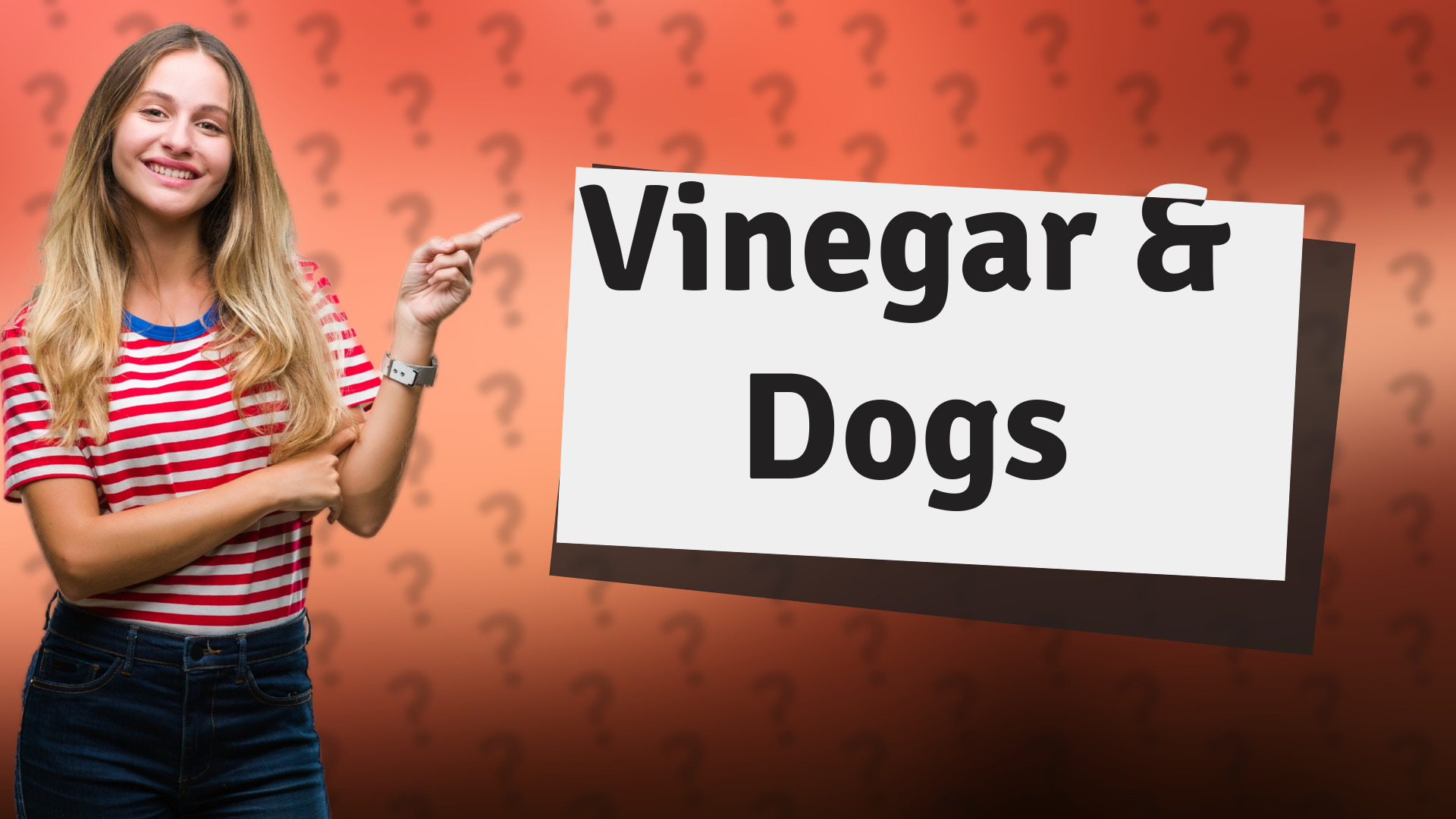Vinegar & Dogs