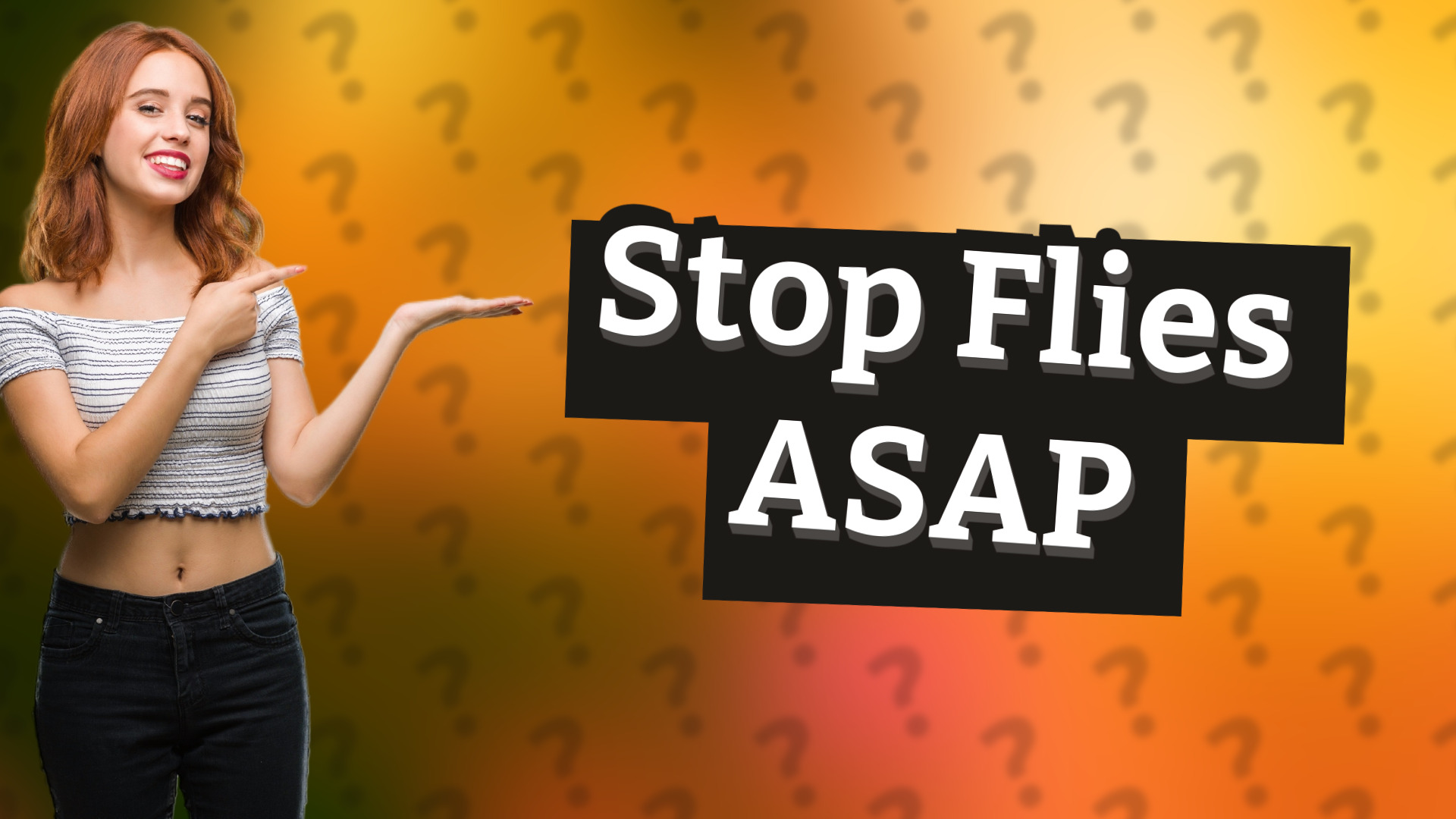 Stop Flies ASAP