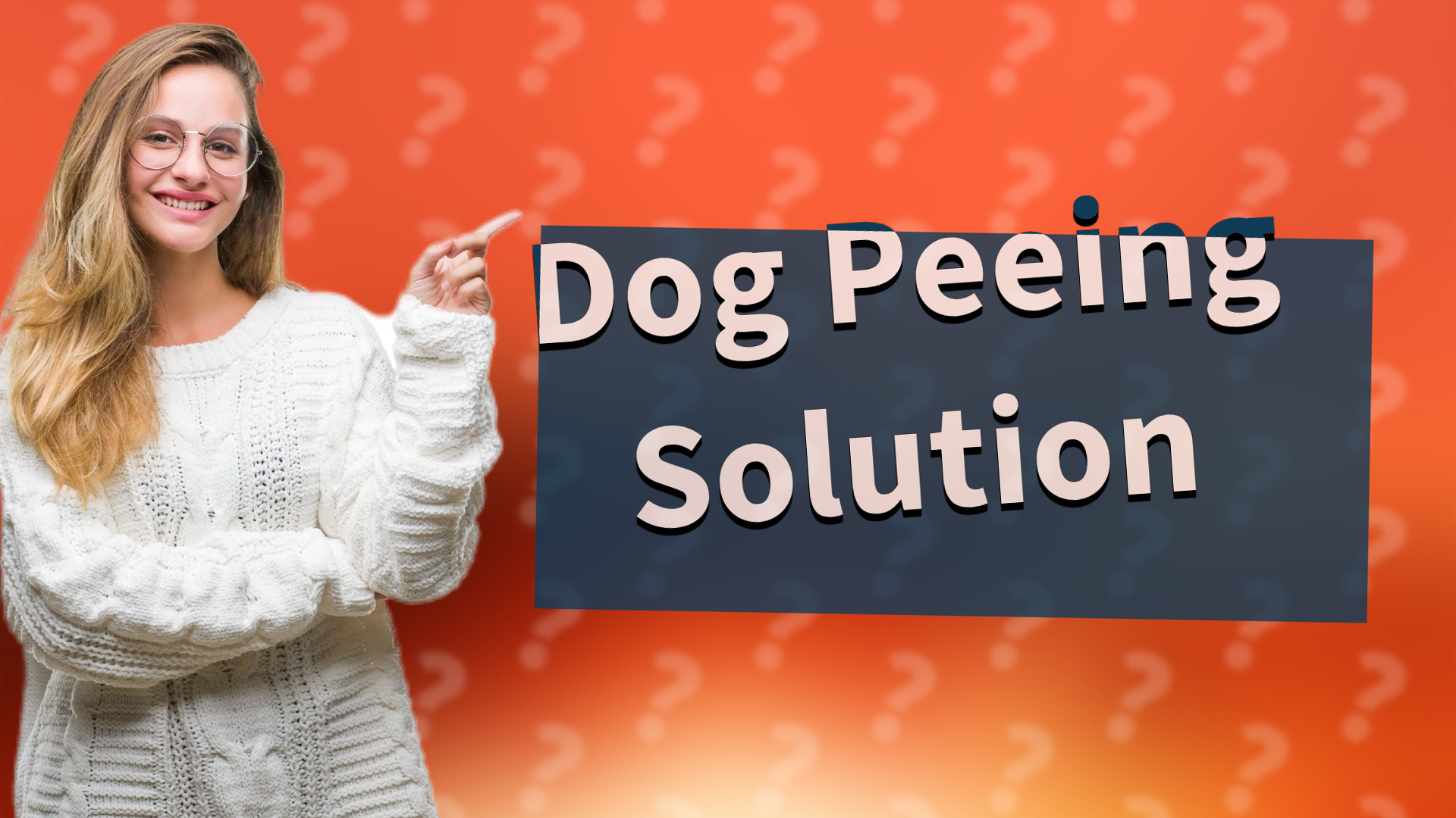 Dog Peeing Solution