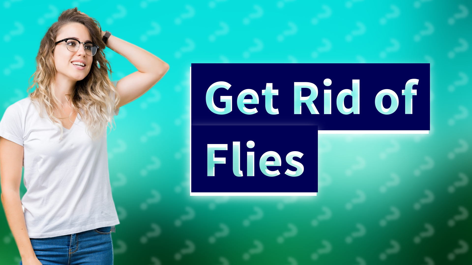 Get Rid of Flies