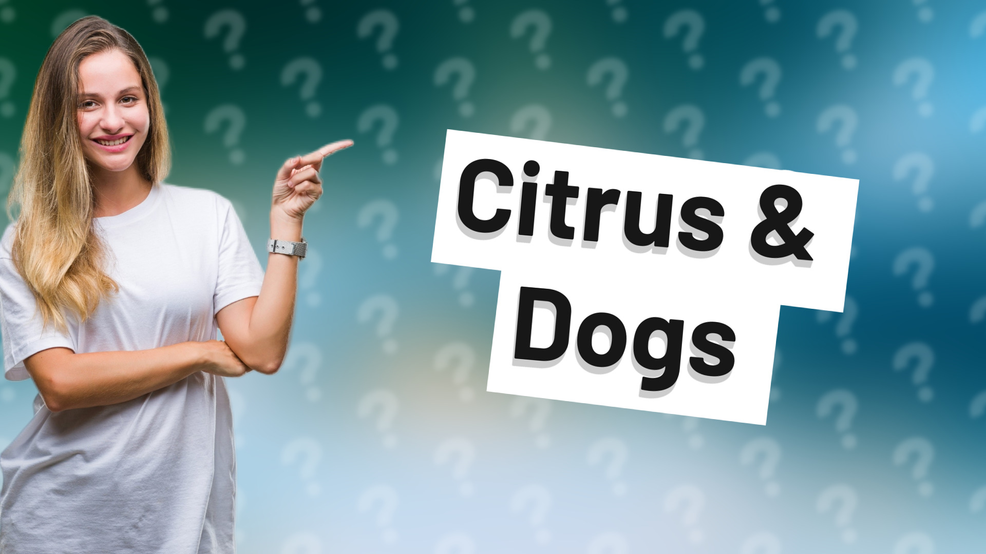 Citrus & Dogs