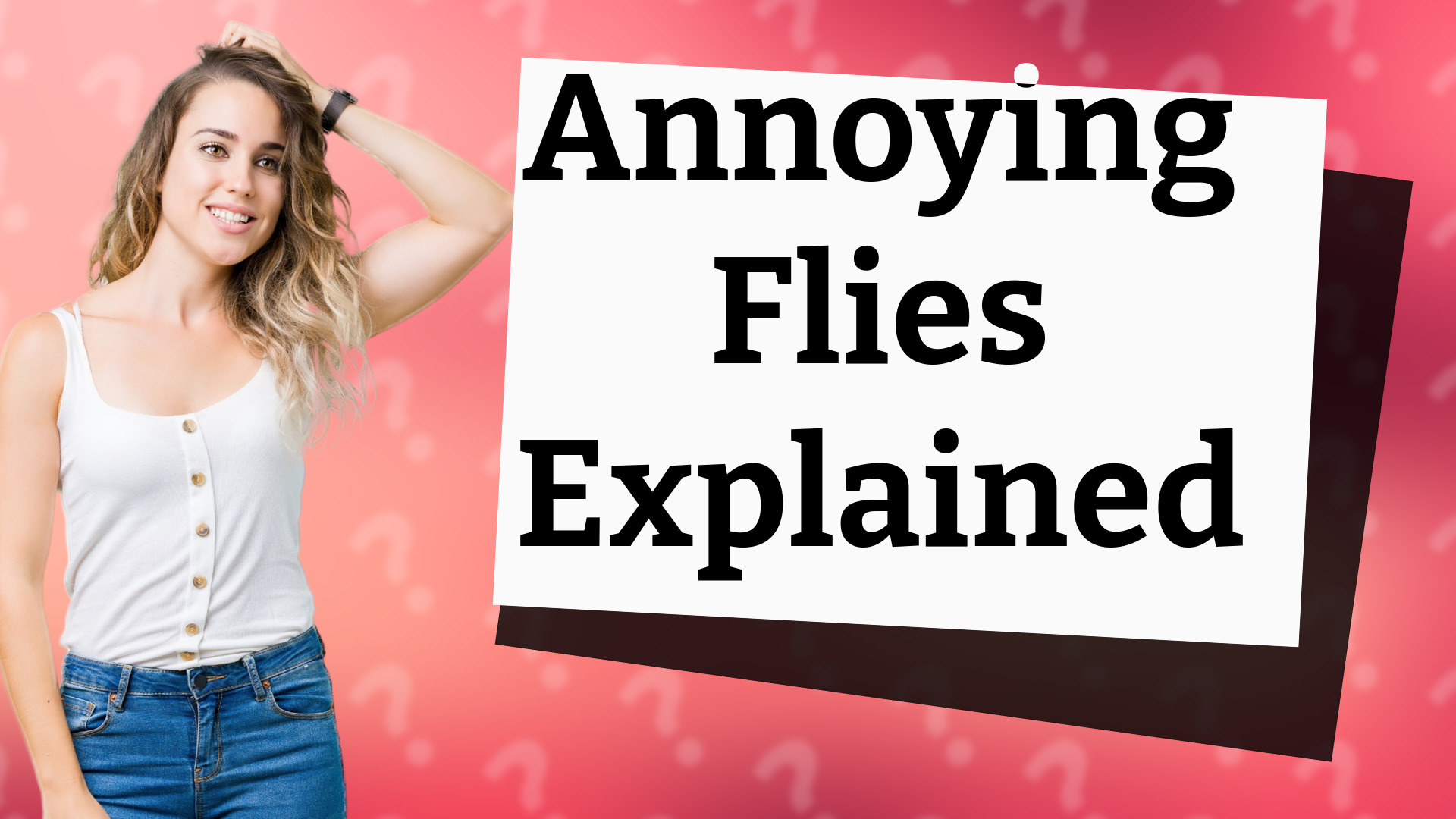Annoying Flies Explained