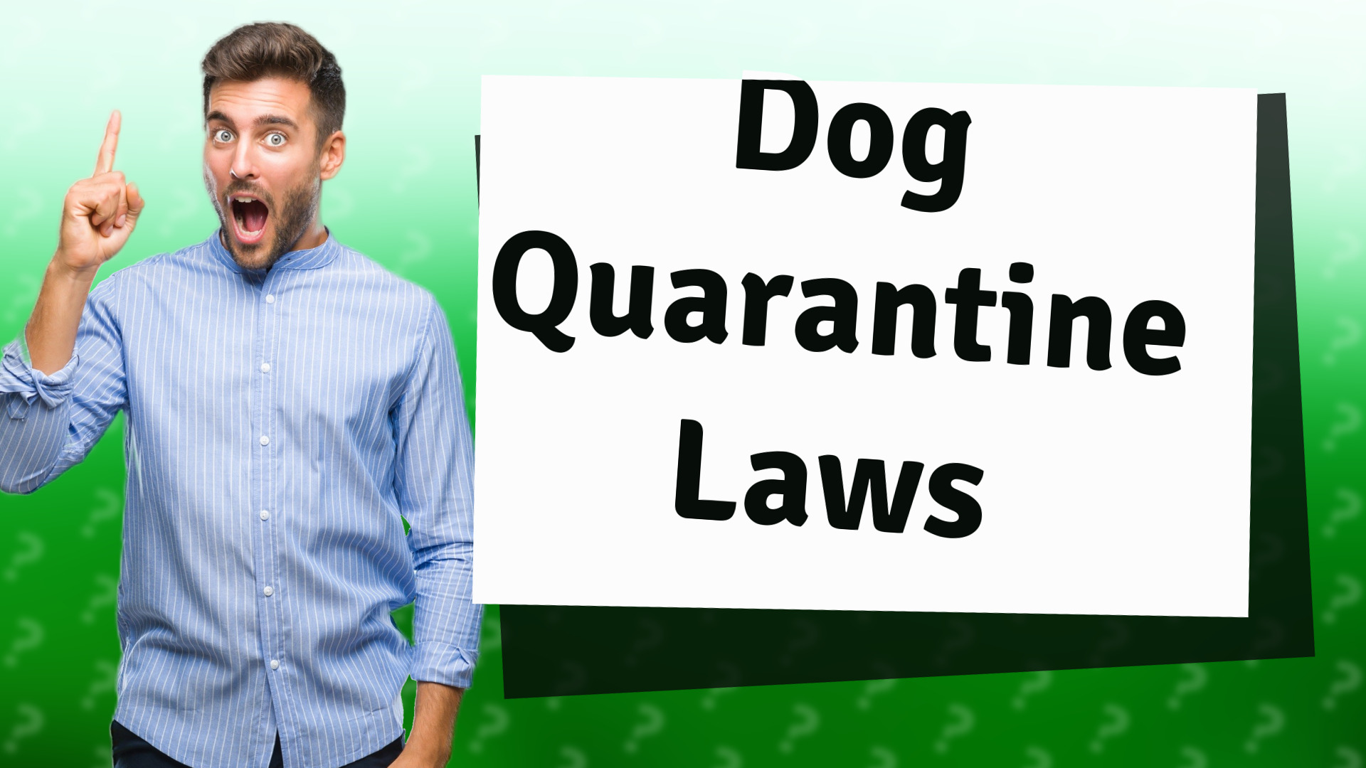 Dog Quarantine Laws