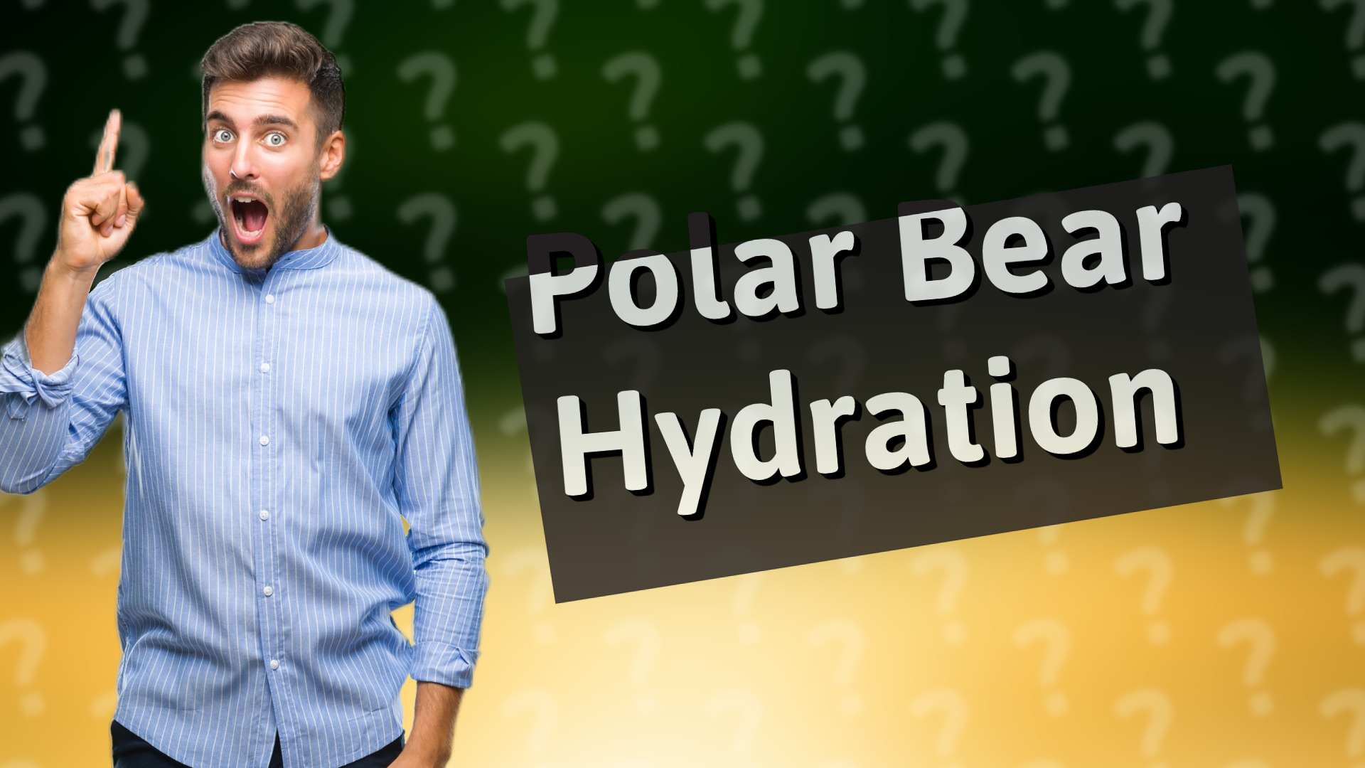 Polar Bear Hydration