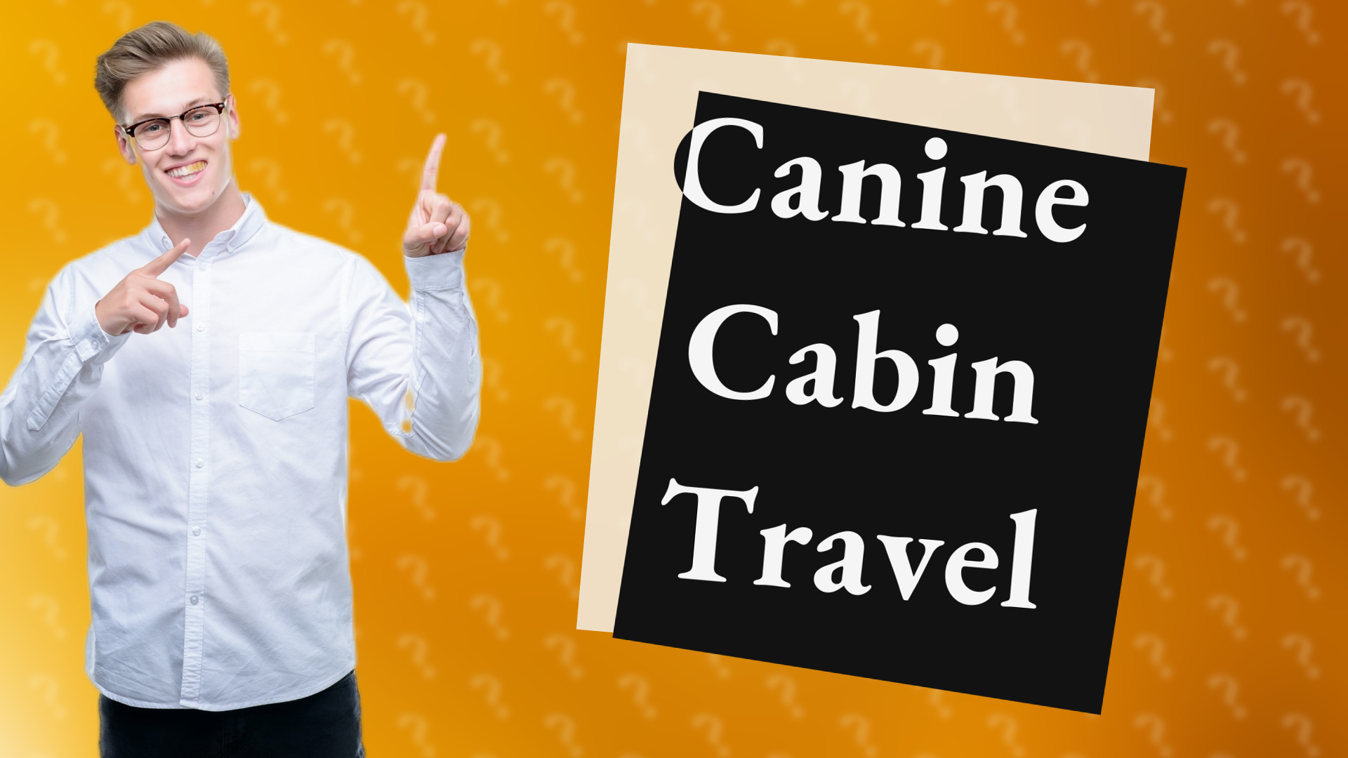 Canine Cabin Travel