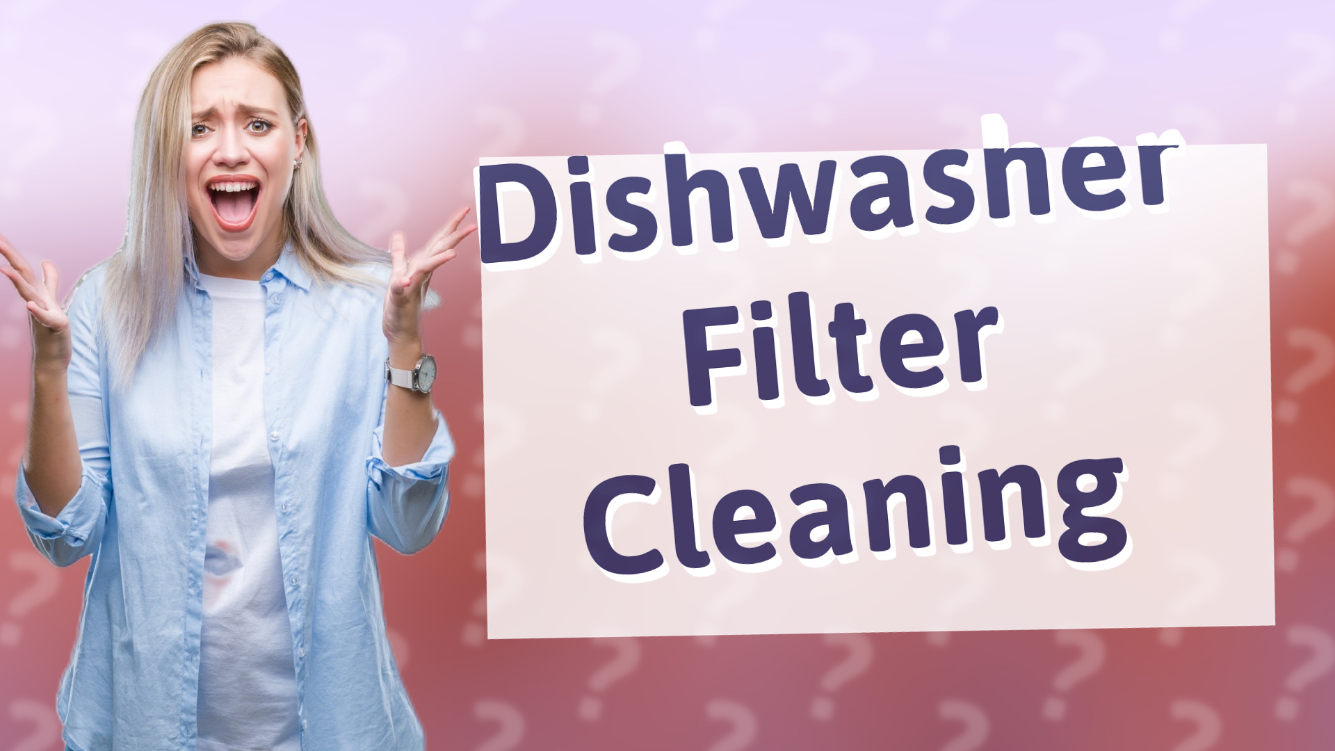 Dishwasher Filter Cleaning