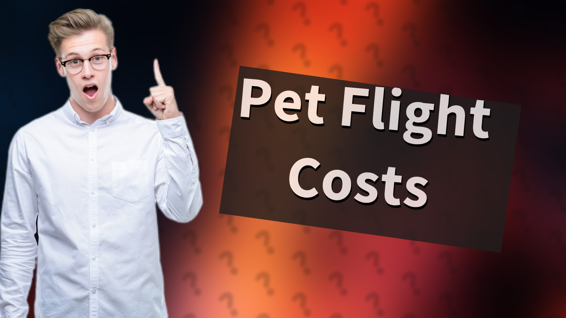 Pet Flight Costs