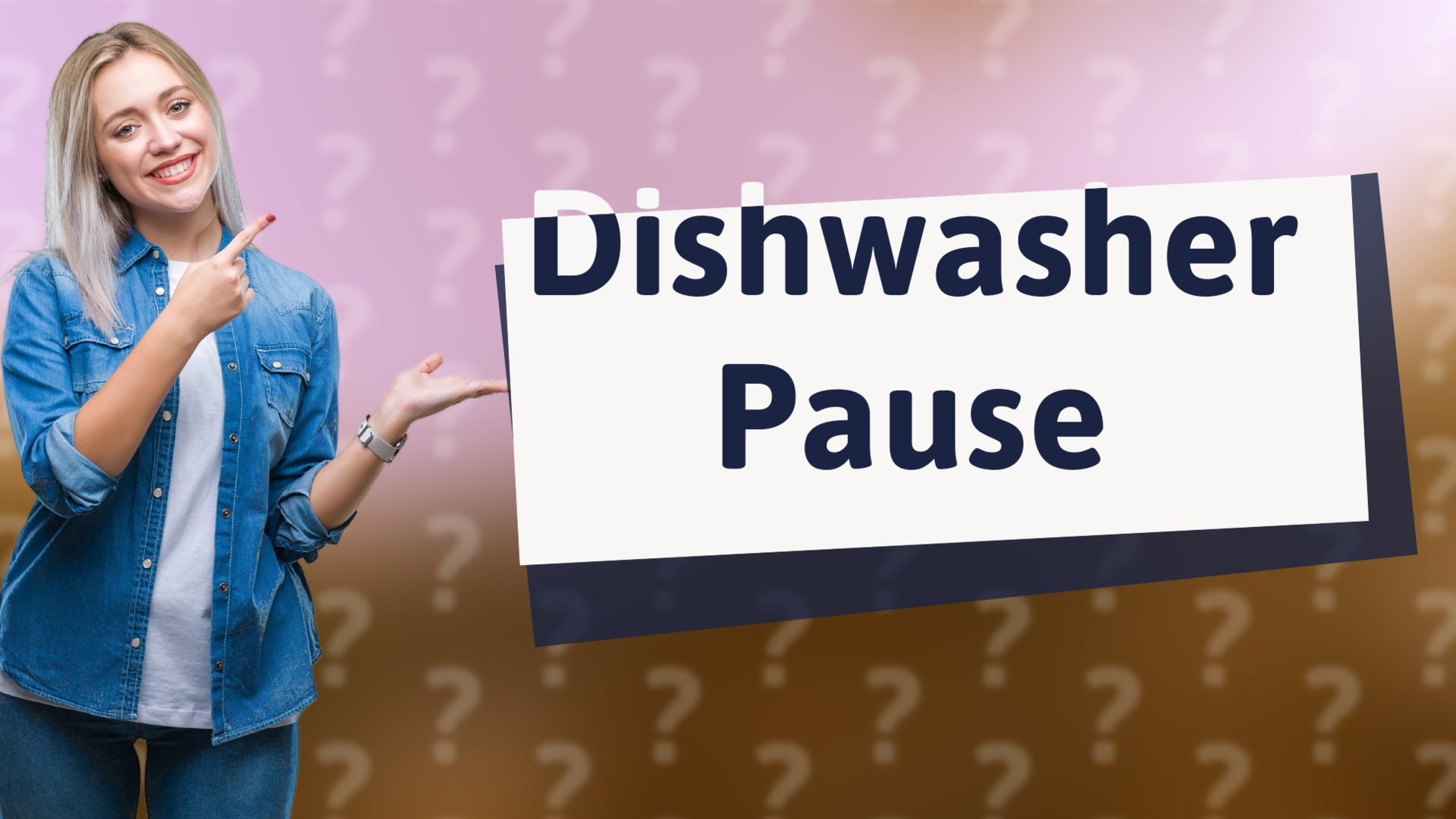 Dishwasher Pause