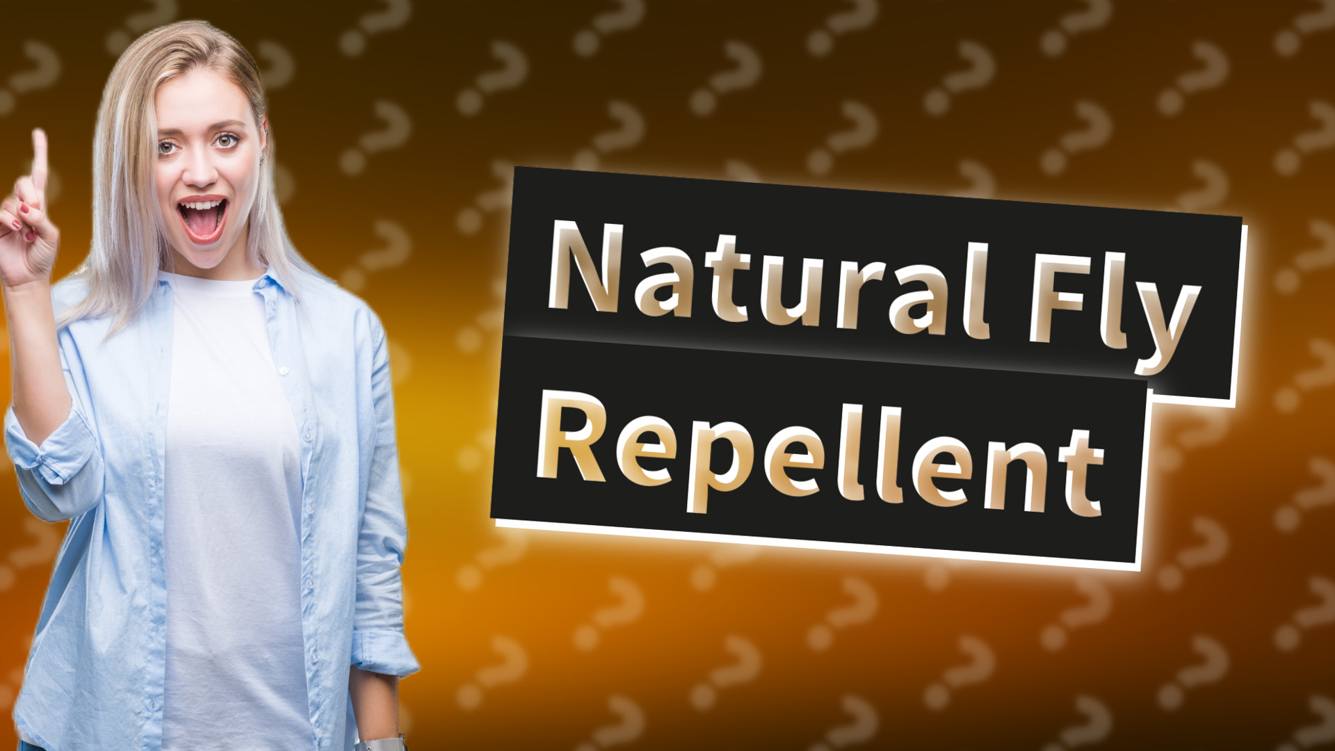 Natural Fly Repellent