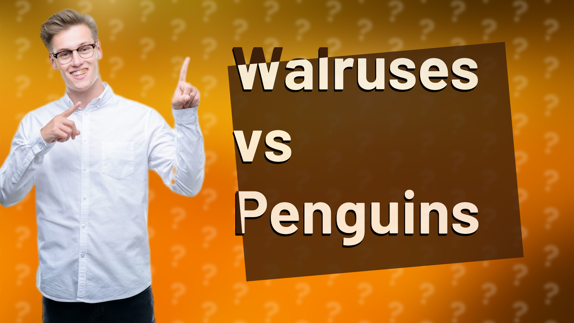 Walruses vs Penguins